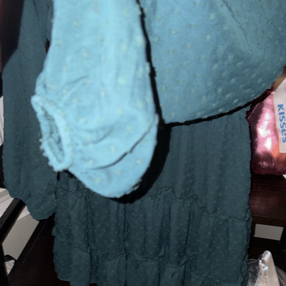 ANDREE' by unit Medium Dark Teal Long Sheer  Sleeve midi embroidered dress- GC🩷 - Picture 6 of 16